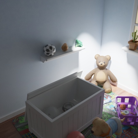 Bear multi-exposure input 1